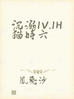 沉溺1V.1H猫时六