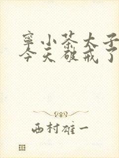 宁小茶太子殿下今天破戒了吗免费阅读