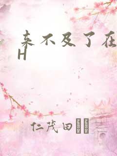 来不及了在车CH