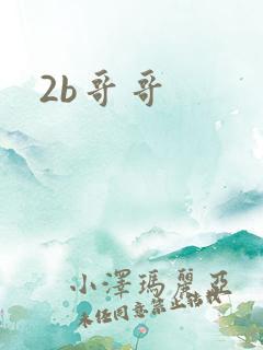 2b哥哥