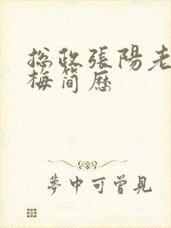 总政张阳老婆吕梅简历