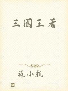 三国王者
