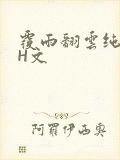 覆雨翻云纯肉高H文