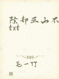 除却巫山不是云txt