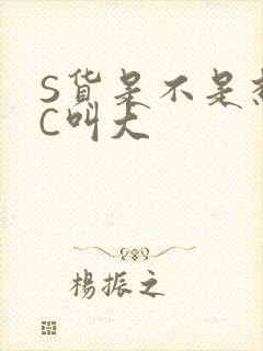 S货是不是想挨C叫大