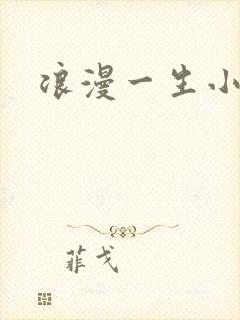 浪漫一生小说网
