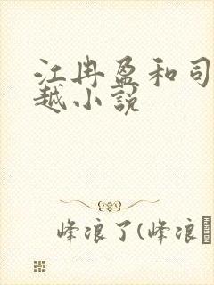 江冉盈和司徒钦越小说