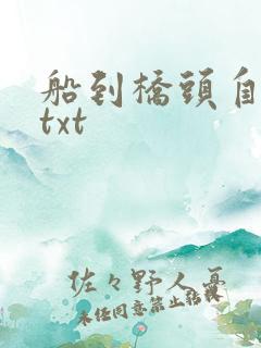 船到桥头自然直txt