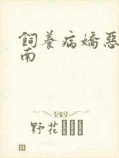 饲养病娇恶龙指南