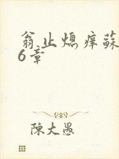 翁止熄痒苏钥第6章