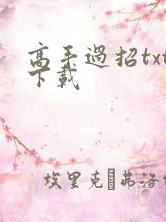 高手过招txt下载