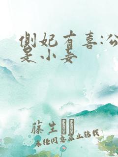 侧妃有喜:公主是小妾