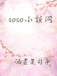 soso小说网