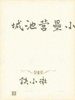 城池营垒小说