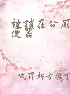 被锁在公厕当坐便器