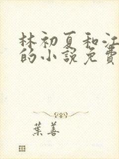 林初夏和江未寒的小说免费阅读