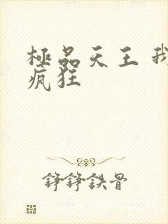 极品天王 我本疯狂