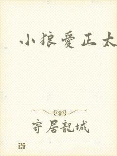 小狼爱正太