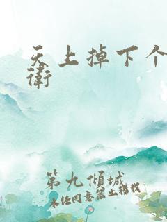 天上掉下个影卫卫