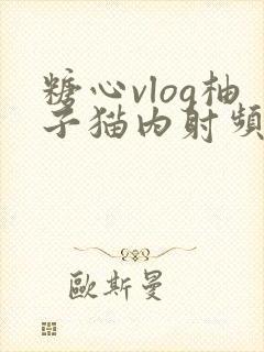 糖心vlog柚子猫内射频