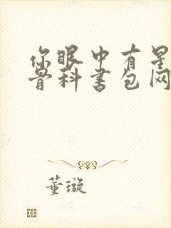 你眼中有星辰h骨科书包网