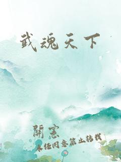 武魂天下