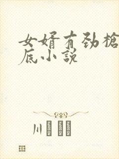 女婿有劲枪枪到底小说