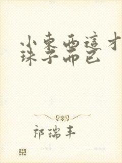 小东西这才一颗珠子而已