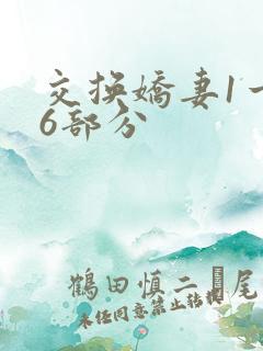 交换娇妻1一36部分