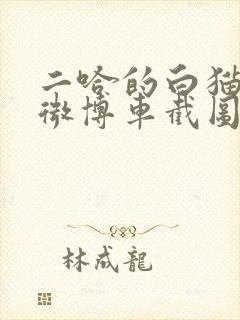 二哈的白猫师尊微博车截图