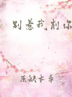 别惹我削你