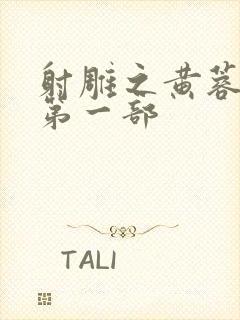 射雕之黄蓉新传第一部