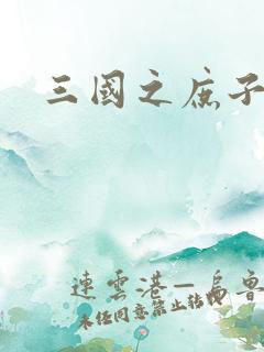 三国之庶子称雄