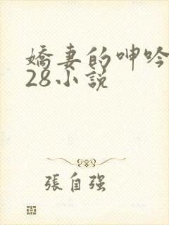 娇妻的呻吟1—28小说