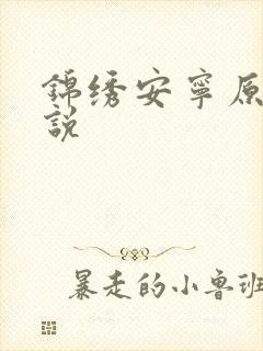 锦绣安宁原著小说