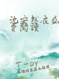 沈安然夜盛霆免费阅读