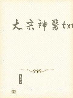 大宋神医txt