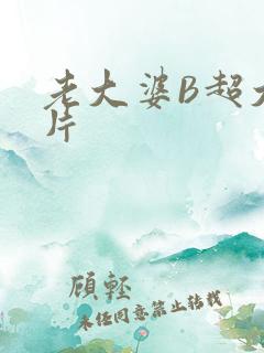 老大婆B超大图片