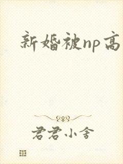 新婚被np高h