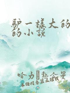 驴一样大的凶器的小说