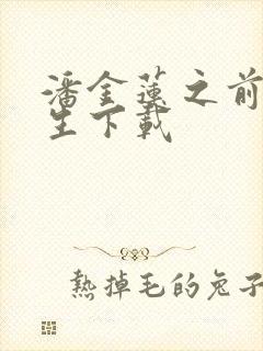 潘金莲之前世今生下载