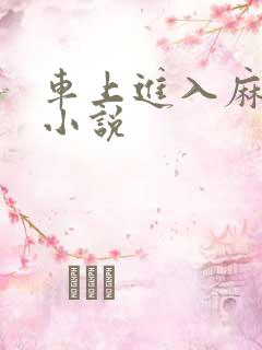 车上进入麻麻的小说