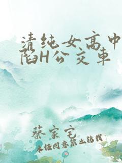 清纯女高中生沦陷H公交车