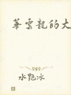 华云龙的大宝贝