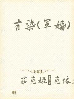 有染(军婚)