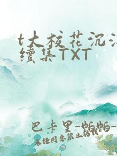 t大校花沉浮录续集TXT