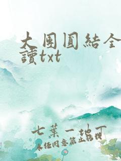 大团圆结全文阅读txt