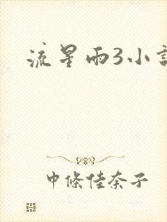 流星雨3小说