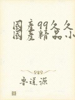 国产99久久久国产精品小说