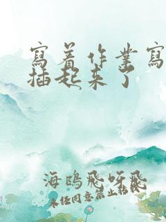 写着作业写着就插起来了